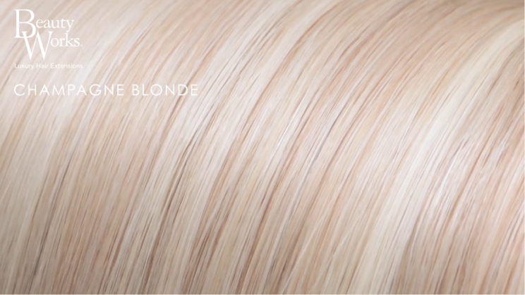 22" Double Hair Set Clip-In Extensions - Champagne Blonde