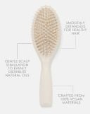 Beauty Works x Molly-Mae Soft Bristle Brush thumbnail