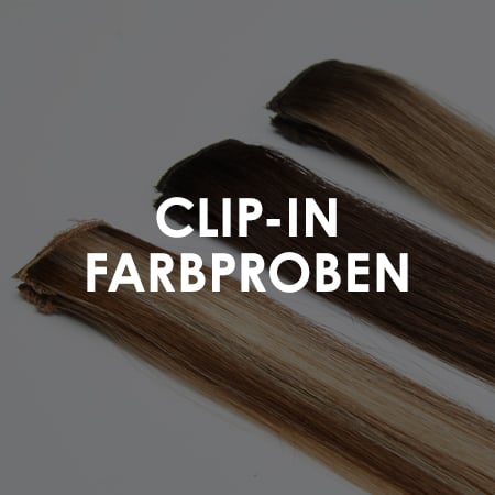 Clip-in Extensions Farbproben